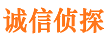 泸溪私家调查公司